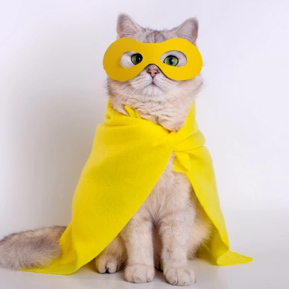 Cat Preventative Care