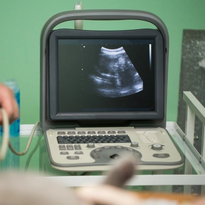 Dog Diagnostic Care