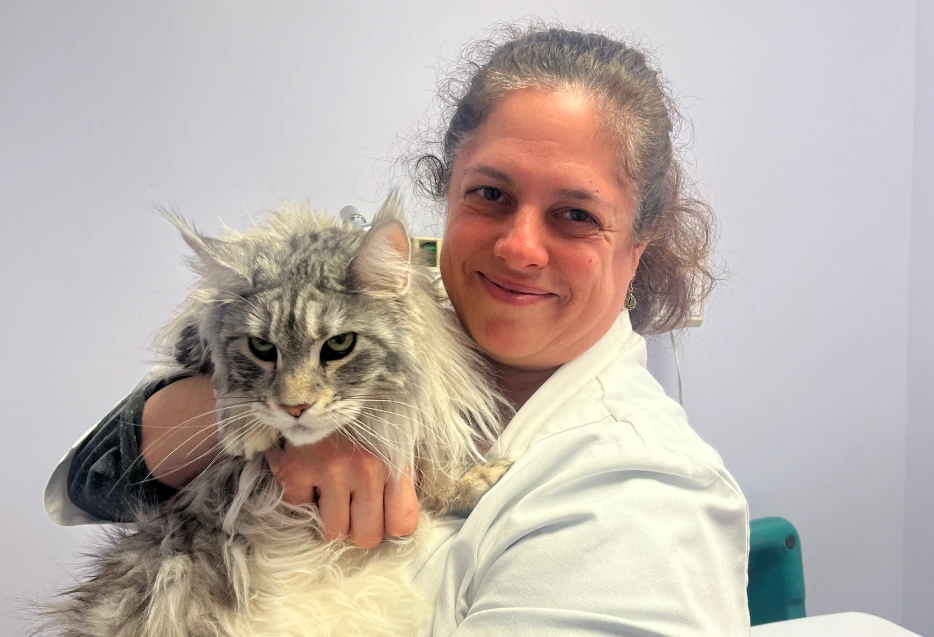 South Putnam Cat Care