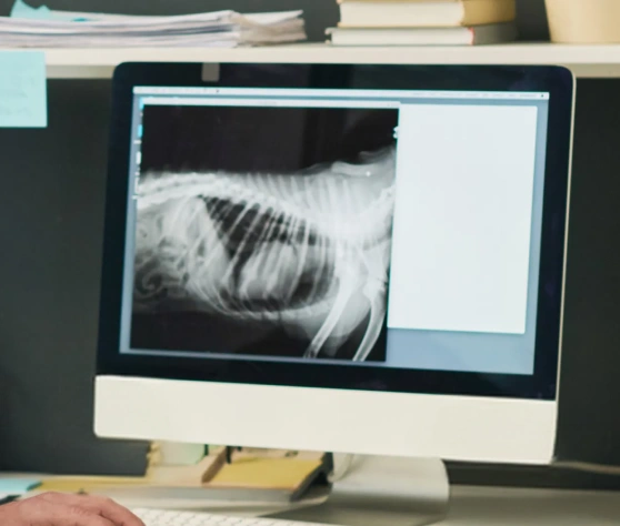 Imaging Technology for Clear Internal Views