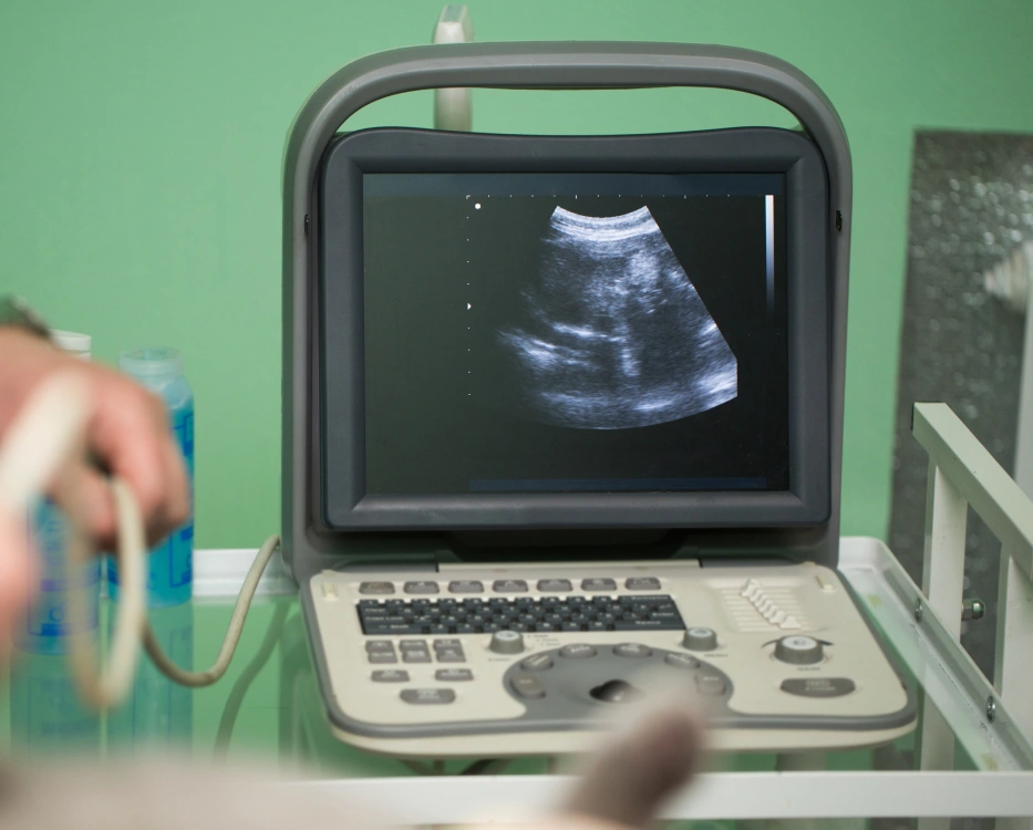 Cat Diagnostic Care