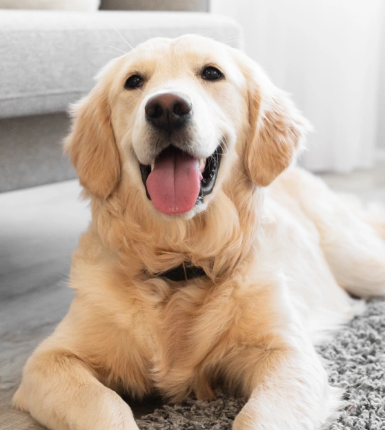 Supporting Recovery After Surgical Procedures